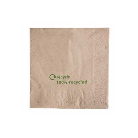 Serviettes double epaisseur en papier recycle