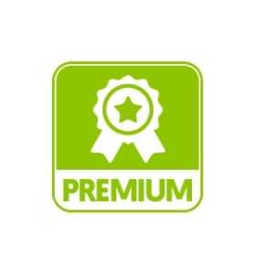 FOUR A PIZZA CONVOYEUR GAZ 40CM