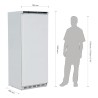 Armoire réfrigérée GN 2/1 600L - POLAR