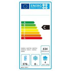 Armoire réfrigérée positive GN 2/1 600 L - POLAR