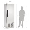 Armoire réfrigérée positive Inox 440L - POLAR