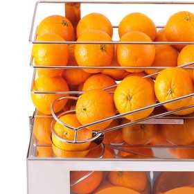 Presse agrume, Presse orange - Acier inoxydable, jusqu'à 30 oranges par  minute | tireusesabiere.fr