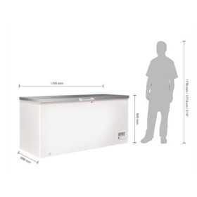 Congélateur coffre inox 390 L