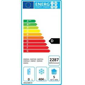 Armoire réfrigérée GN 2/1 négative 650L - POLAR