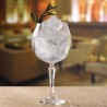 Verres à cocktails - Gin / Spritz - 580 ml - Speakeasy Libbey - Lot de 12