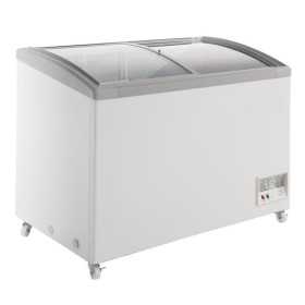 Congélateur coffre professionnel blanc 278 L - FR305SL - TEFCOLD