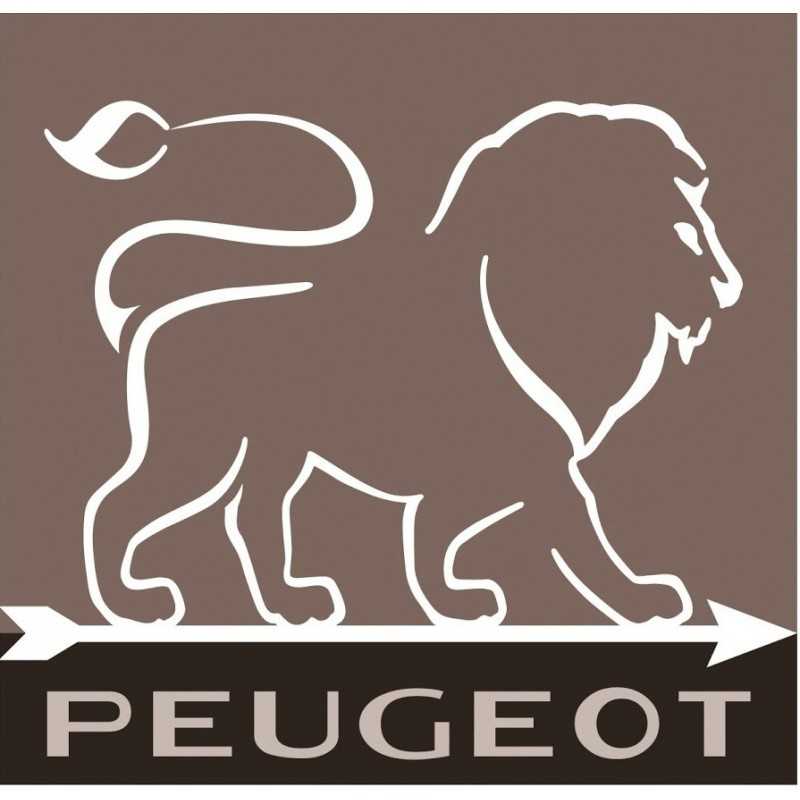 MOULIN PEUGEOT