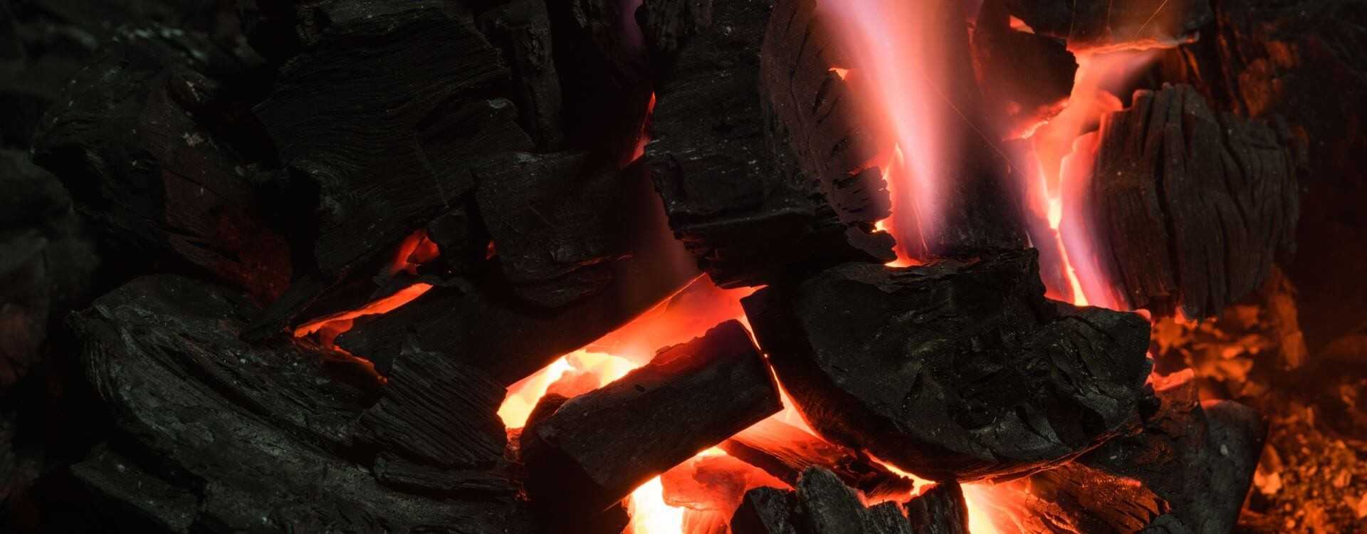 Four BBQ à charbon de bois porte relevable LUX